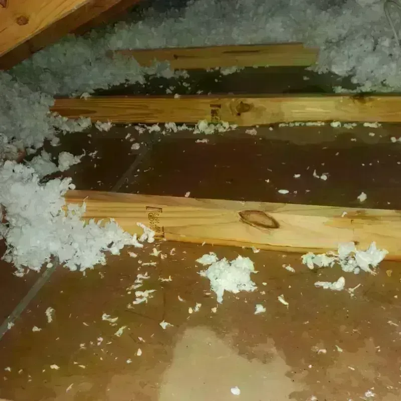 Attic Water Damage in Eaton, OH