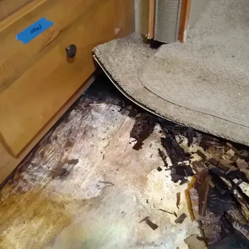 Wood Floor Water Damage in Eaton, OH